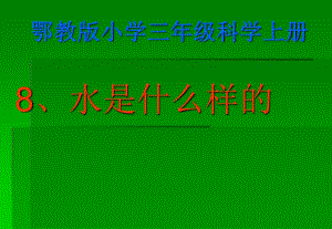 鄂教版科學(xué)三年級上冊第8課《水是什么樣的》ppt課件2.ppt