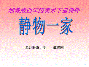 湘教版美術四下《靜物一家》PPT課件4.ppt