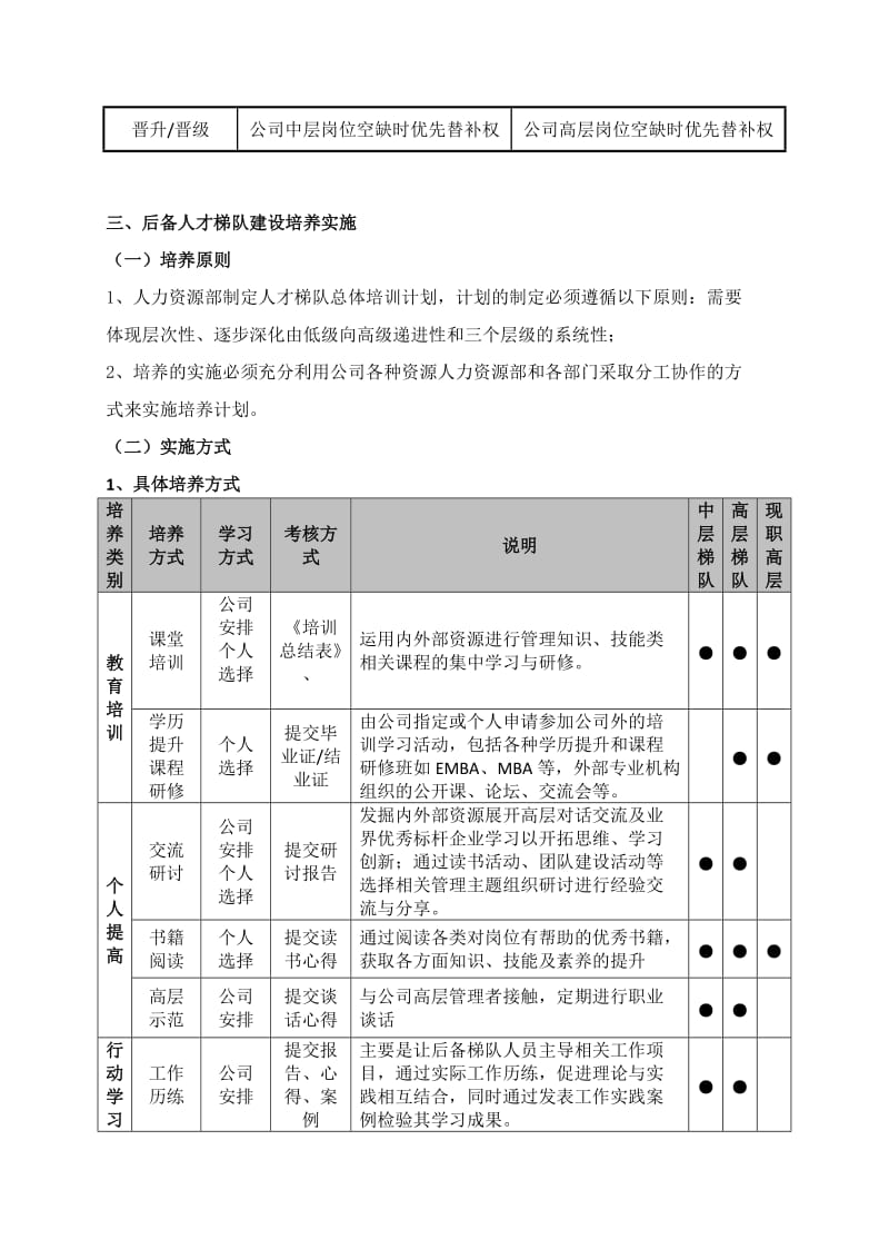 公司人才梯队建设草案.doc_第3页