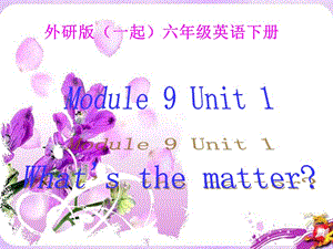 外研版（一起）六下《Unit 1 What’s the matter》課件1.ppt