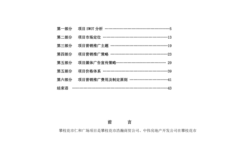 攀枝花仁和项目营销策划报告.doc_第3页