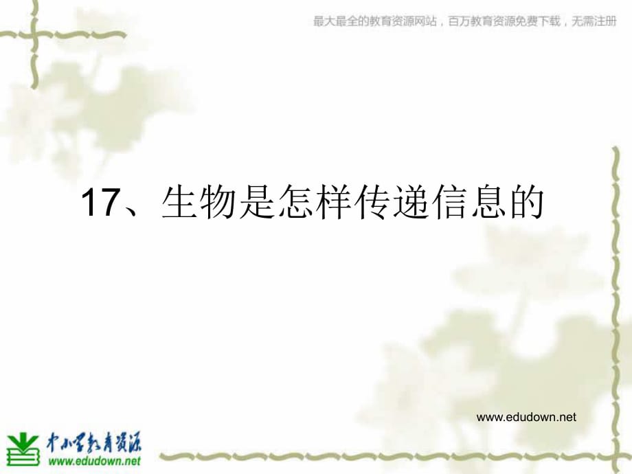 青島版科學(xué)六下《生物是怎樣傳遞信息的》PPT課件4.ppt_第1頁