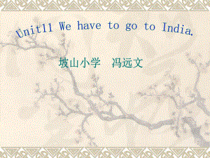 廣東版(開心)六下《Unit 11 We have to go to India!》ppt課件.ppt