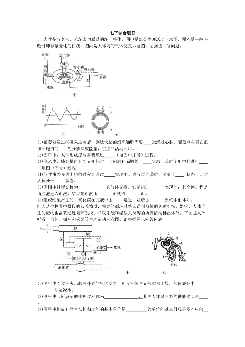 人教版生物七下综合题.doc_第1页