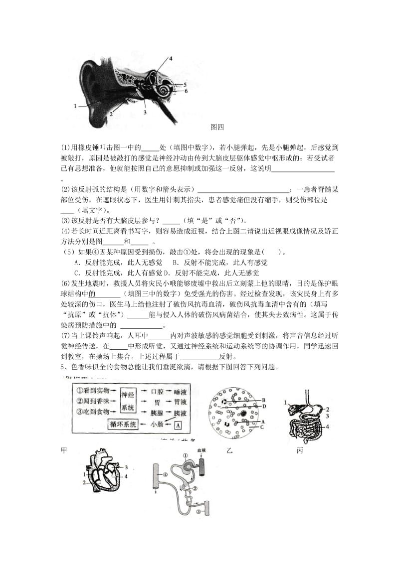 人教版生物七下综合题.doc_第3页