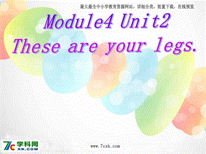 外研版（一起）一下Module 4《Unit 2 These are your legs》ppt課件2.ppt