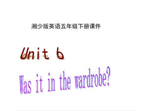 湘少版五下《Unit 6 Was it in the wardrobe》ppt課件.ppt