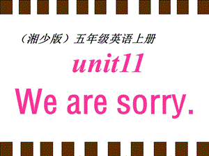 湘少版五上《Unit 11 We are sorry》ppt課件.ppt