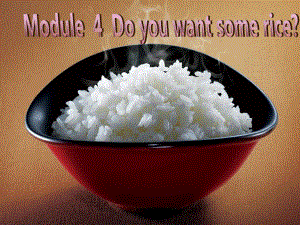 外研版（三起）四上Module 4《Unit 1 Do you want some rice》ppt課件4.ppt