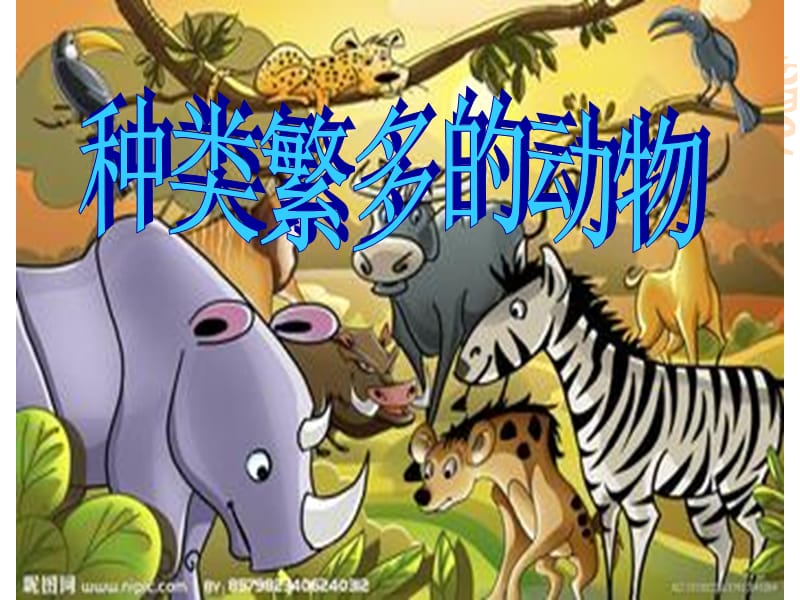 冀教版科學六上第4課《種類繁多的動物》ppt課件2.ppt_第1頁