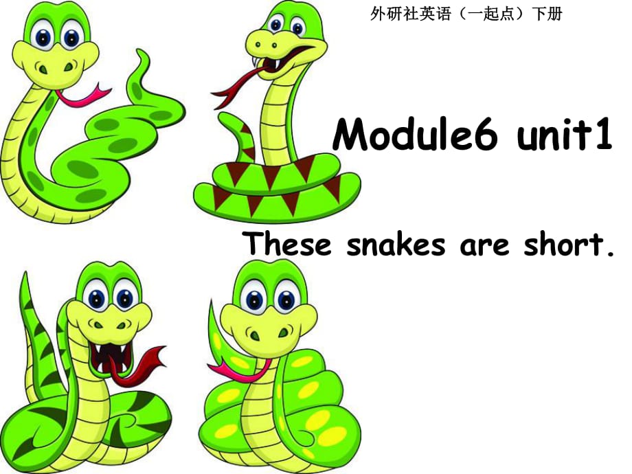 外研版（一起）一下Module 6《Unit 1 These snakes are short》ppt课件4.ppt_第1页