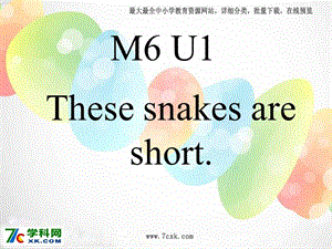 外研版（一起）一下Module 6《Unit 1 These snakes are short》ppt課件3.ppt