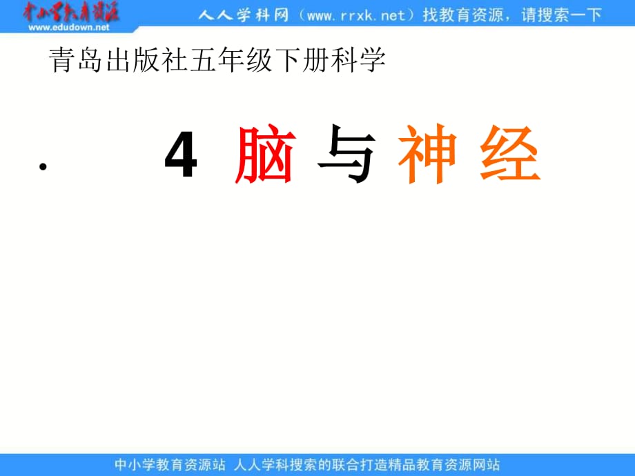 青島版科學(xué)五下《腦與神經(jīng)》ppt課件.ppt_第1頁(yè)