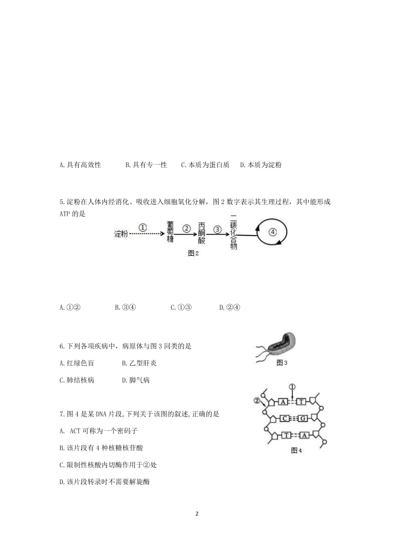 2019奉贤生物一模(有答案).doc_第2页