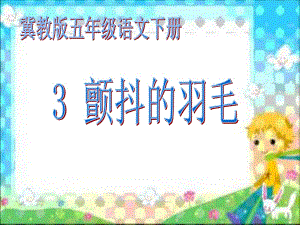 冀教版語文五下《顫抖的羽毛》ppt課件3.ppt