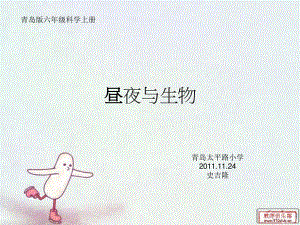 青島版科學(xué)六上《晝夜與生物》PPT課件3.ppt