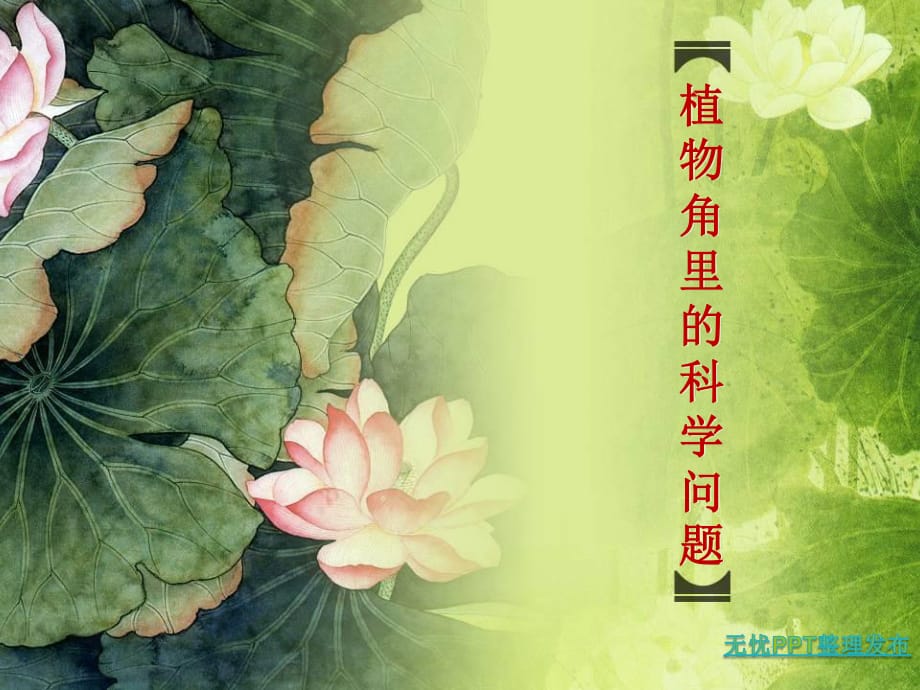 大象版科學(xué)六上1.1《植物角里的科學(xué)問題》ppt課件2.ppt_第1頁