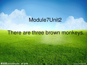 外研版（一起）一下Module 7《Unit 2 There are three brown monkeys》ppt課件1.ppt