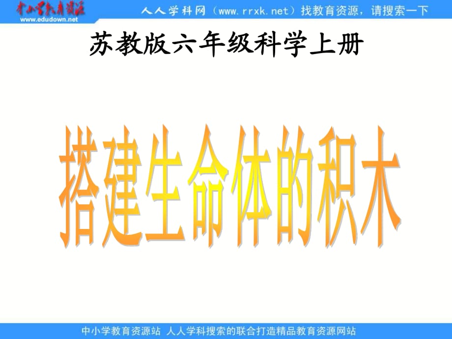 蘇教版科學(xué)六上《搭建生命體的“積木”》ppt課件1.ppt_第1頁