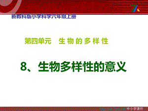 教科版科學(xué)六上4.8《生物多樣性的意義》ppt課件2.ppt