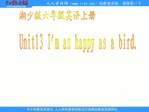 湘少版六上《Unit 13 I’m as happy as a bird》ppt課件.ppt