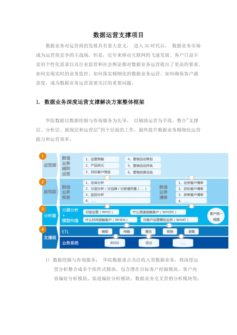 数据运营支撑项目.doc_第1页