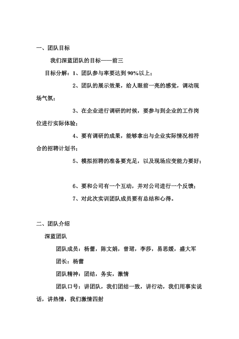 深蓝杨蕾13团队的绩效计划.doc_第3页