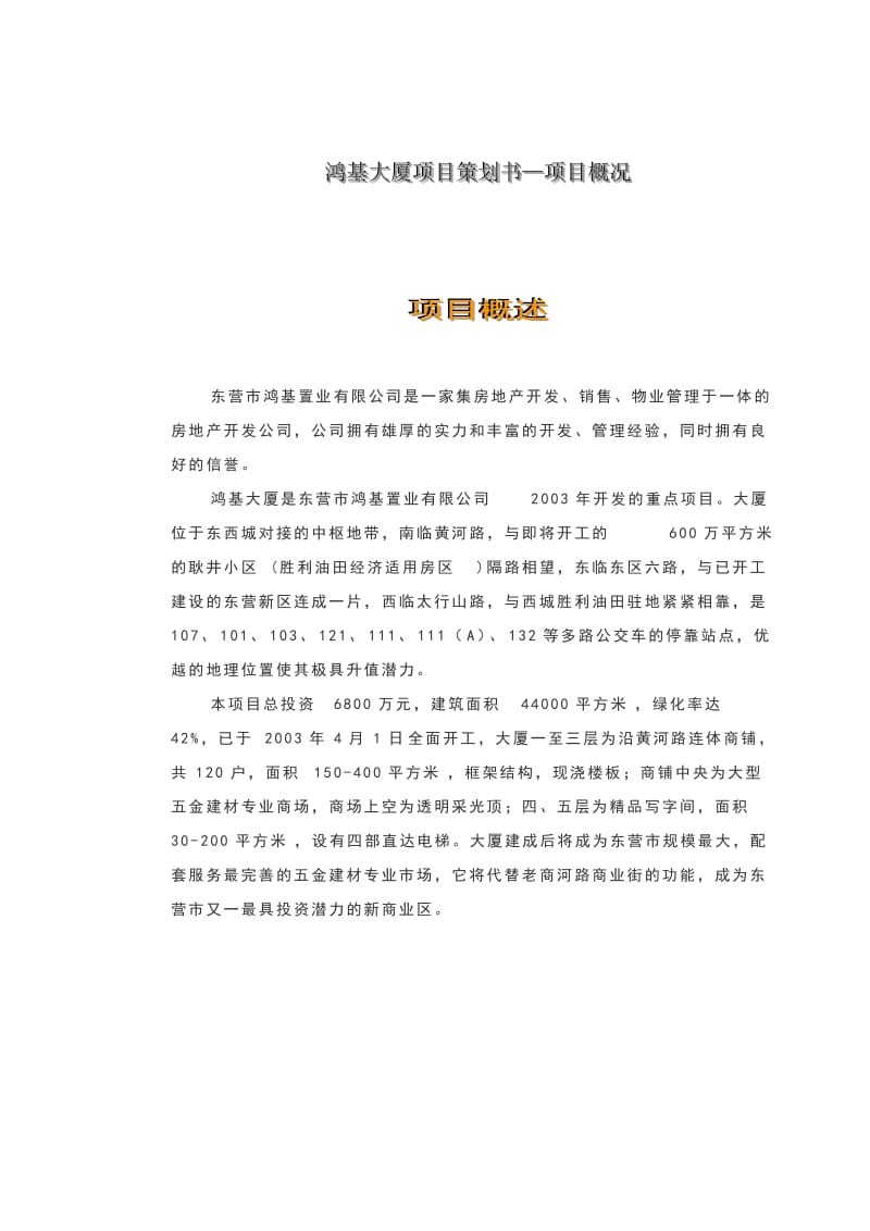 东营某商业地产项目策划书.doc_第1页