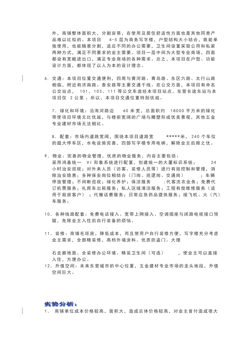 东营某商业地产项目策划书.doc_第3页