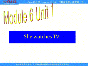 外研版（一起）第三冊(cè)Module 6《Unit 1 She watches TV》ppt課件.ppt