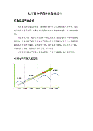 鉆石畫電子商務(wù)平臺運營策劃書.doc