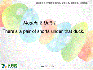 外研版（一起）一下Module 8《Unit 1 There’s a pair of shorts under that duck》ppt課件3.ppt