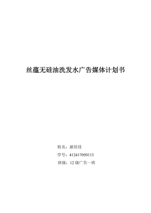 絲蘊無硅油洗發(fā)水廣告媒體計劃書.doc