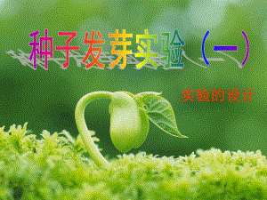 教科版科學(xué)五上《種子發(fā)芽實(shí)驗(yàn)(一)》PPT課件4.ppt