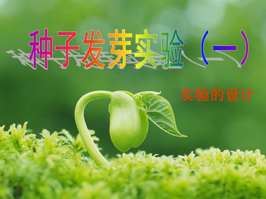 教科版科學(xué)五上《種子發(fā)芽實(shí)驗(yàn)(一)》PPT課件4.ppt_第1頁