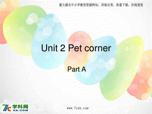 深港朗文版英語三下《Unit 2 Pet corner》課件A.ppt