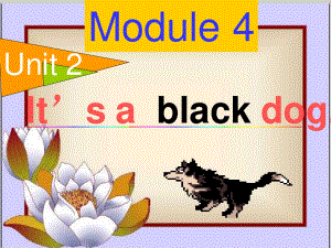 外研版（三起）三上Module 4《Unit 2 It’s a black dog》ppt課件3.ppt