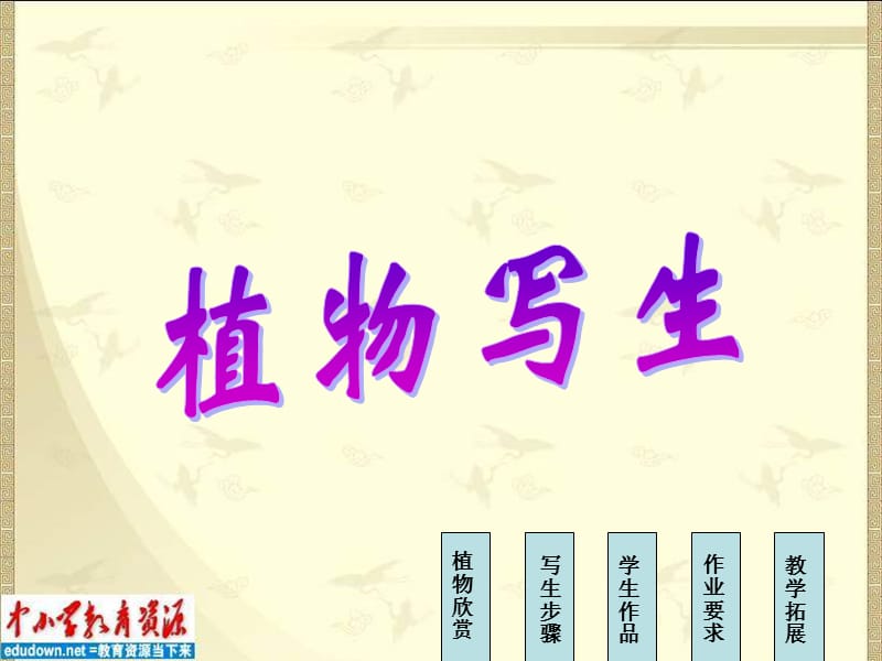 人美版美術(shù)四下《植物寫生》PPT課件 .ppt_第1頁