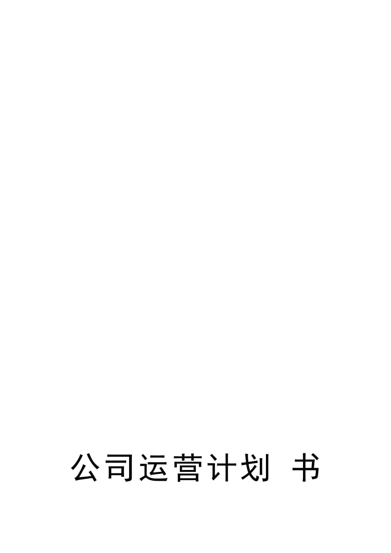 公司运营计划书.doc_第2页