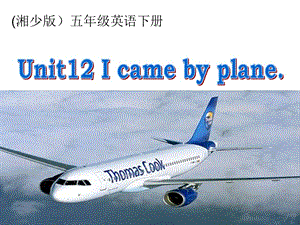 湘少版五下《Unit 12 I came by plane》ppt課件.ppt