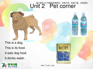 深港朗文版英語三下《Unit 2 Pet corner》課件1.ppt