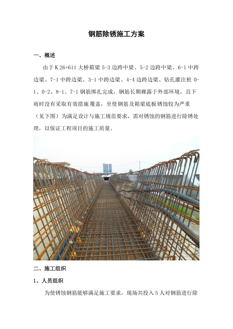 钢筋除锈的施工方案.doc_第1页