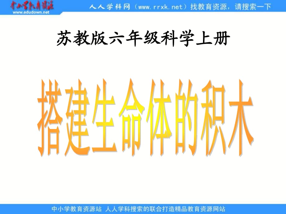 蘇教版科學(xué)六上《搭建生命體的“積木”》ppt課件2.ppt_第1頁(yè)