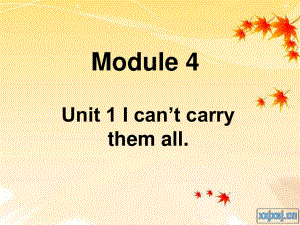 外研版（一起）六下《Unit 1 I can’t carry them all》課件4.ppt