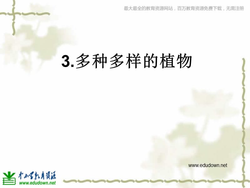 教科版科學(xué)六上《多種多樣的植物》PPT課件3.ppt_第1頁