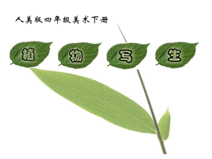 人美版美術(shù)四下第1課《植物寫生》ppt課件2.ppt