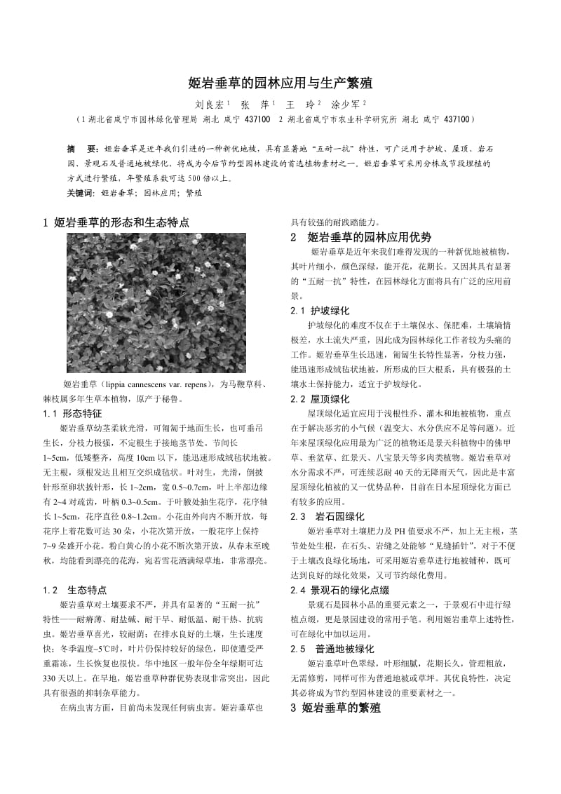 姬岩垂草的园林应用与生产繁殖(电子版).doc_第1页