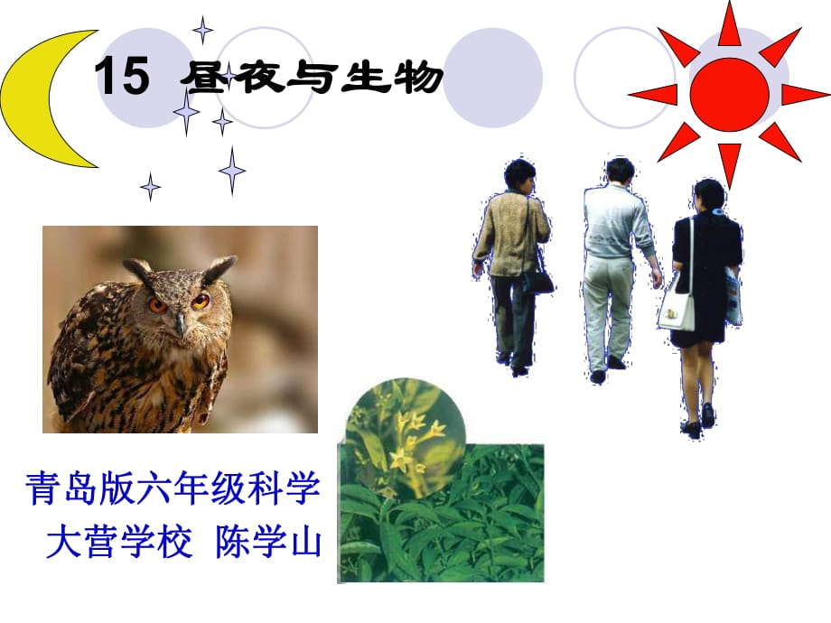 青島版科學(xué)六上《晝夜與生物》PPT課件6.ppt_第1頁