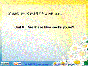 廣東版(開心)四下《Unit 9 Are these blue socks yours》ppt課件3.ppt