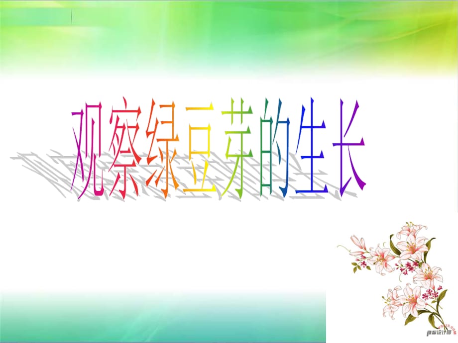 教科版科學(xué)五上《觀察綠豆芽的生長》PPT課件5.ppt_第1頁